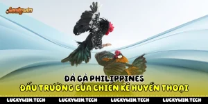 Đá Gà Philippines - Đấu Trường Của Chiến Kê Huyền Thoại